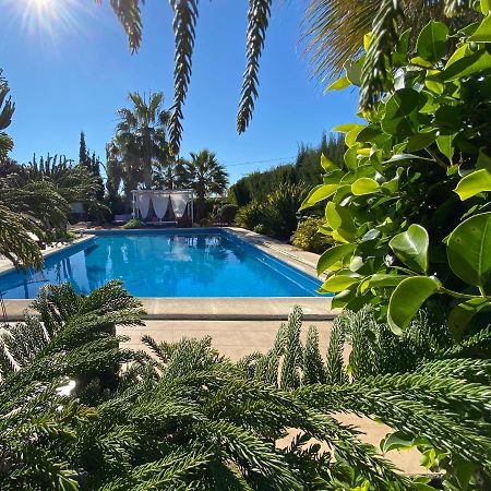 Vila Vacaciones La Marina Costa Blanca Exteriér fotografie