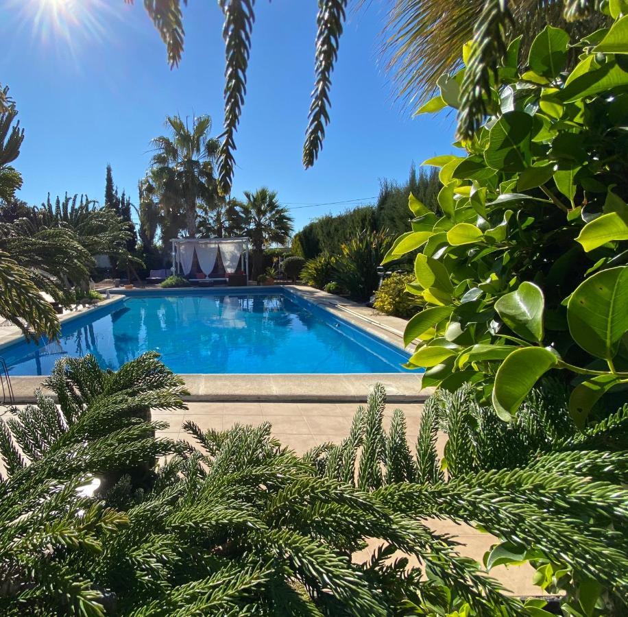 Vila Vacaciones La Marina Costa Blanca Exteriér fotografie